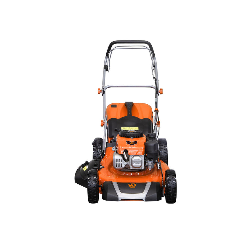 Corta Cesped 5.5HP Autopropulsada a Motor y bolsa colectora de 70 litros Modelo CSvB170 van Beek