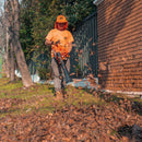 Sopladora Manual liviana de bajo nivel de ruido y sistema antivibración 1HP Modelo vB230E van Beek