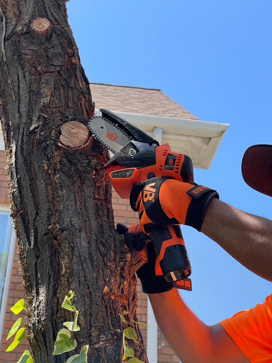 Trabajador de van Beek en Santiago, Chile poda un árbol con precisión y eficiencia utilizando una minisierra eléctrica vBSE4 van Beek naranja.